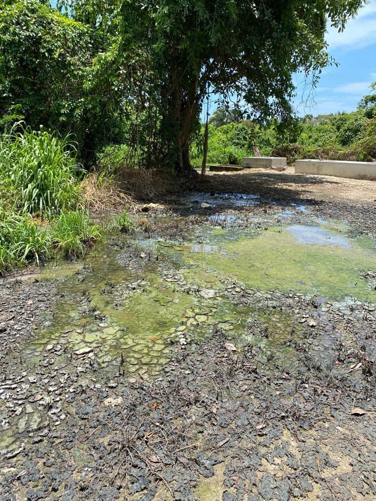 uploads/6/32/01 (82).Jpeg